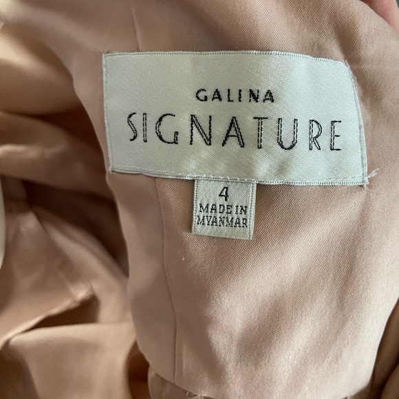 GALINA SIGNATURE
Charmeuse Tank V-Neck Dress with Slit - Picture 7 of 9